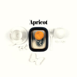 Image of Front Cover of LP - EX/VG+ - THE APRICOT, A Forestful Of Threes (Voices Of Wonder ; VOW162LP, Norway 2011, Inner, With CD), ,  - 3726170E