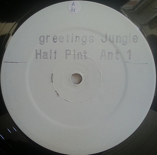 Image of Front Cover of 12" - /G+ - HALF PINT, Greetings (Jet Star; ANT 1, UK 1994, White Label), Lots of marks on either side, causing very light crackle.,  - 3746462S