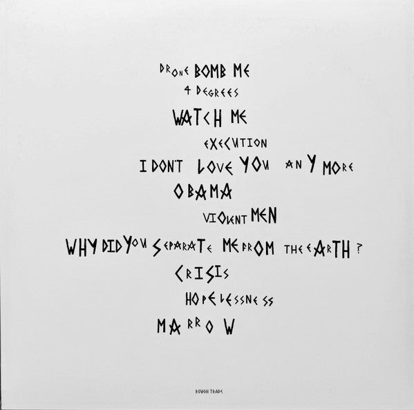 Image of Back Cover of LP - VG+/VG+ - ANOHNI, Hopelessness (Rough Trade; RTRADLP823, UK 2016, Inner, 180 Gram Vinyl, NO CD, Antony and the Johnsons), ,  - 3746481S