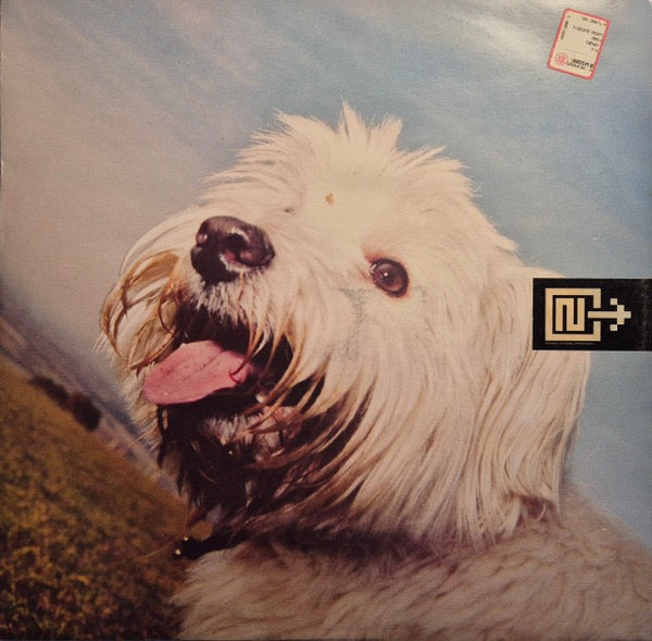 Image of Front Cover of 12" - G+/G+ - MOLOKO, Sing It Back (Mixes. 2) (Echo; ECDJ 712, UK 1999, Promo, Picture Sleeve), Sleeve signed by Booker T - addressed to previous owner. Disc scuffed and marked, sleeve marked and ringworn.,  - 3816010C