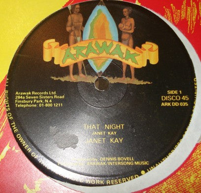 Image of Front Cover of 12" - /G+ - JANET KAY, That Night / Rock The Rhythm (Arawak; ARK DD 035, UK 1980, Plain Sleeve), Lots of marks on either side of the record,  - 3846039S