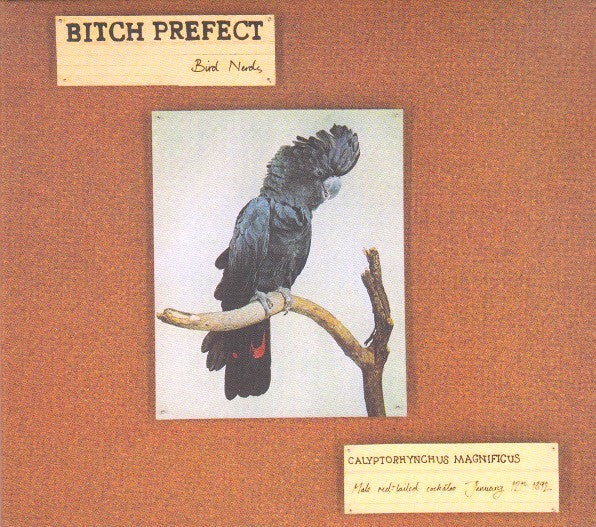 Image of Front Cover of LP - EX/EX - BITCH PREFECT, Bird Nerds (Bedroom Suck Records; BSR-043, Australia 2013, Insert, Download Code), ,  - 3826075E