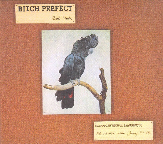 Image of Front Cover of LP - EX/EX - BITCH PREFECT, Bird Nerds (Bedroom Suck Records; BSR-043, Australia 2013, Insert, Download Code), ,  - 3826075E