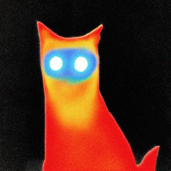 Image of Front Cover of CD - VG+/VG+ - BASEMENT, Wired (Run For Cover Records; 288, US 2026, Jewel Case), ,  - 3836082E