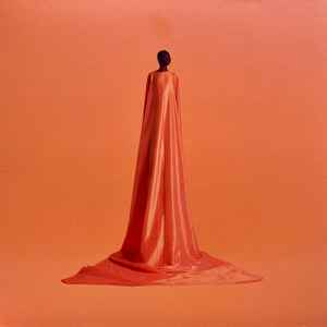 Image of Front Cover of LP - EX/EX - WAYNE SNOW, Figurine (Roche Musique; RM077, France 2021, Partly laminated picture sleeve., Insert), ,  - 3846132S