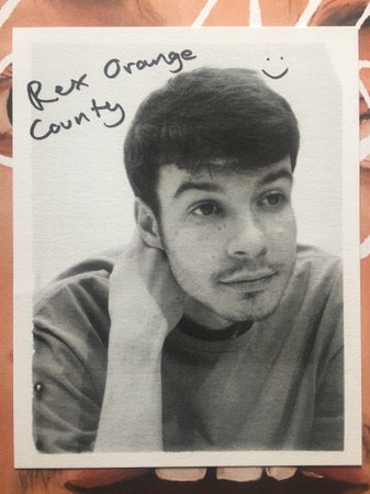 Image of Back Cover of LP - VG+/VG+ - REX ORANGE COUNTY, Pony (Not On Label; 19075-99729-1, Europe 2019, Printed Plastic Slipcase, Inner & Insert, Signed Print, Sticker Pack, White Vinyl), ,  - 3816259C