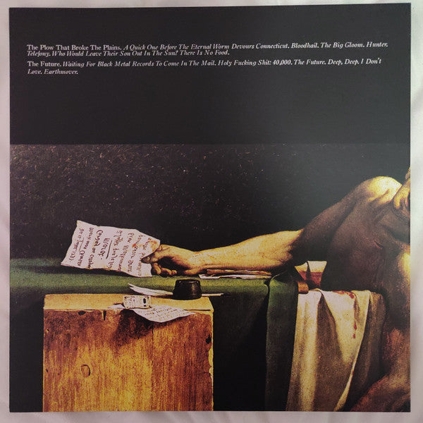 Image of Back Cover of 2xLP - EX/EX - HAVE A NICE LIFE, Deathconsciousness (Flenser Records; FR42, US 2020, Gatefold, Book, Limited Pink Vinyl), ,  - 3846187S
