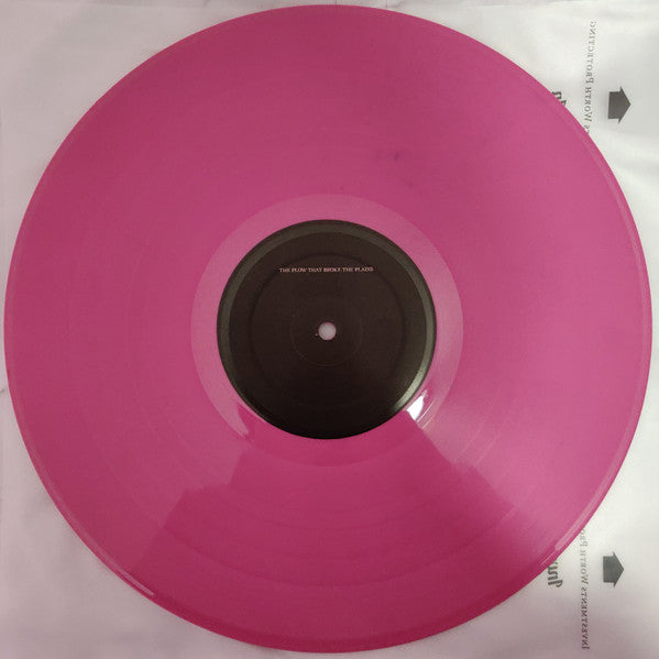Image of Label Cover of 2xLP - EX/EX - HAVE A NICE LIFE, Deathconsciousness (Flenser Records; FR42, US 2020, Gatefold, Book, Limited Pink Vinyl), ,  - 3846187S
