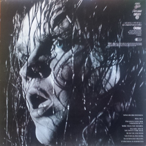 Image of Back Cover of LP - VG/VG+ - MEAT LOAF, Dead Ringer (Epic; EPC 83645, UK 1981, White Insert), ,  - 3816283C