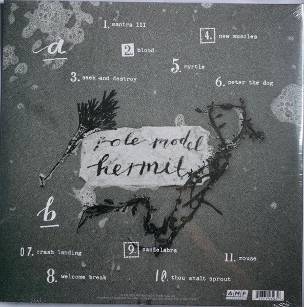 Image of Back Cover of LP - VG+/VG+ - MARY IN THE JUNKYARD, Role Model Hermit (AMF Records; AMF176LPC2, UK 2026, Gatefold, Insert, Seafoam Green w/ Cloudy Effect Vinyl, Ltd to 1250, with CD), SIGNED by full band on front cover,  - 3846241S
