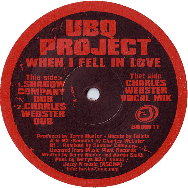 Image of Front Cover of 12" - VG/VG+ - UBQ PROJECT, When I Fell In Love (2002 Rmx) (Boombastic; BOOM 11, UK 2002, Stickered Company Sleeve), ,  - 3926056E