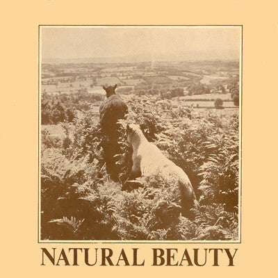 Image of Front Cover of LP - VG/VG - THE INTERNATIONAL STUDIO ORCHESTRA, Natural Beauty (Music De Wolfe; DWS/LP 3462, UK 1981), ,  - 3946109S