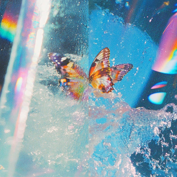 Image of Front Cover of 2xLP - NEW/NEW - DAPHNI, Butterfly (Jiaolong; JIAOLONG034LP, UK 2026), , Butterfly is a showcase of the wonderful variety and surprising twists and turns that made that album such an exciting new prospect and that still to this day make Snaith such an intriguing DJ. There are more heavy hitters here, tracks that fill those dancefloors better than anyone, like  Clap Your Hands  which picks up the energy of  Sad Piano House  and flips it, exposing the gritty and intoxicating underbelly