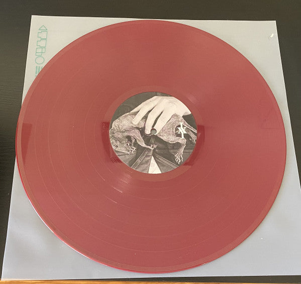 Image of Label Cover of LP - VG+/VG+ - ICEAGE, Shake The Feeling - Outtakes And Rarities 2015-2021 (Mexican Summer; MEX331, US 2022, Inner, Red Bordeaux Vinyl), ,  - 4016353C