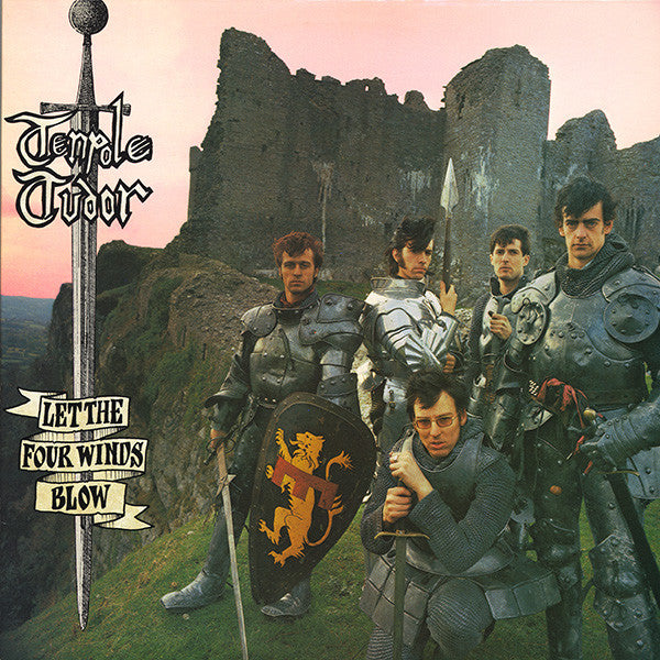 Image of Front Cover of LP - VG/G+ - TENPOLE TUDOR, Let The Four Winds Blow (Stiff Records; SEEZ 42, UK 1981, Black Die-Cut Inner), Hairlines,  - 4016405C