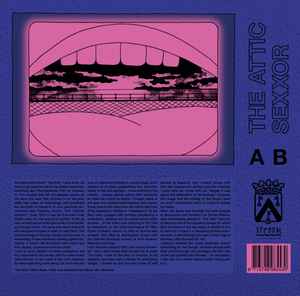 Image of Back Cover of 12" - VG+/VG - LHASA, The Attic / Sexxor (Stroom; STR12-020, Belgium 2019, Picture Sleeve), one or two light scuffs,  - 4046254S