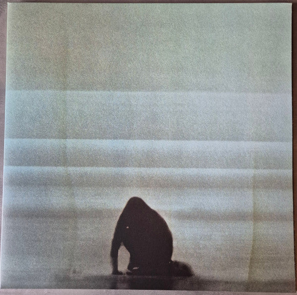 Image of Front Cover of LP - VG+/VG+ - FOALS, What Went Down (Transgressive Records; 0825646075034, Worldwide 2000s Reissue, Gatefold), ,  - 4046218S