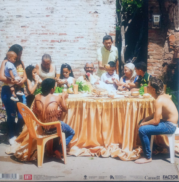 Image of Back Cover of 2xLP - EX/EX - LIDO PIMIENTA, La Belleza/Caribenya (Anti-; 87818-1, Europe 2026, 2 Inners & Poster, Limited Edition, Gold Vinyl), In opened shrinkwarp, unplayed,  - 4046285S