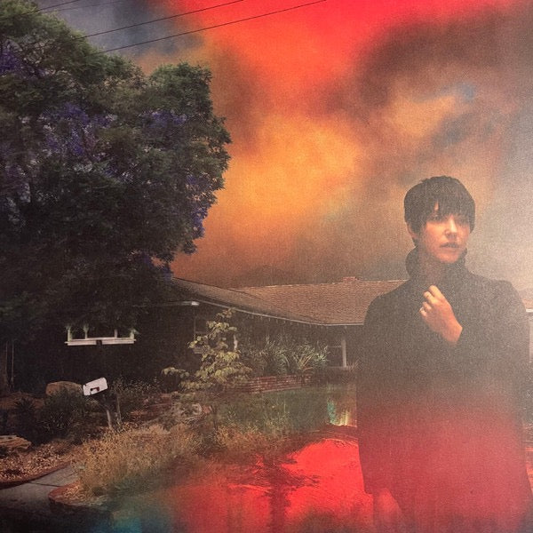 Image of Front Cover of LP - VG+/VG+ - SHARON VAN ETTEN, We've Been Going About This All Wrong (Jagjaguwar; JAG395, Worldwide 2022, Gatefold, Inner, Signed Print), ,  - 4016559C