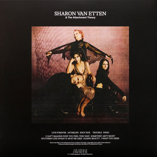 Image of Back Cover of LP - VG+/VG+ - SHARON VAN ETTEN & THE ATTACHMENT THEORY, Sharon Van Etten & The Attachment Theory (Jagjaguwar; JAG464, Worldwide 2025, Gatefold, Inner & Insert, Sticker, Awareness Edition Amber Galaxy Vinyl), ,  - 4016560C