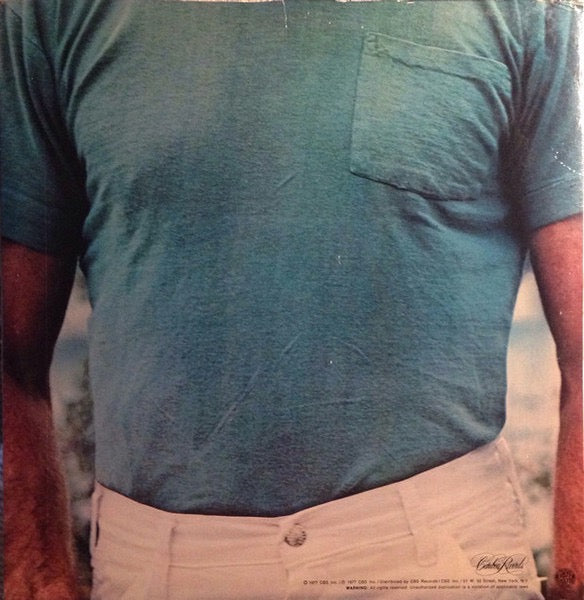 Image of Back Cover of LP - VG/G+ - DENNIS WILSON, Pacific Ocean Blue (Caribou Records; PZ 34354, US 1977, Gatefold, Inner, S2 Runouts), Light hairline marks, Inner split at two seams, Light sleeve wear,  - 4116070C