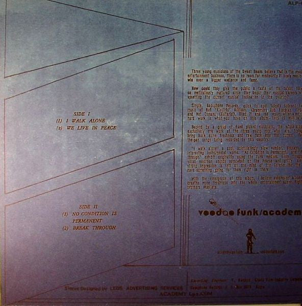 Image of Back Cover of LP - EX/VG - MARIJATA, This Is Marijata (Academy LPs; ALP-006, US 2011, Insert), Light hairlines. ,  - 4126163E