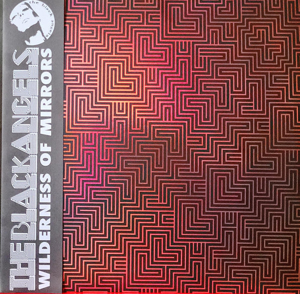 Image of Front Cover of 2xLP - EX/EX - THE BLACK ANGELS, Wilderness Of Mirrors (Partisan Records; PTKF3021-1, Europe 2022, Gatefold, 2 Inners), ,  - 4146083S
