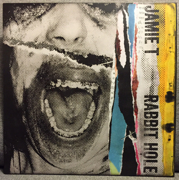 Image of Front Cover of 12" - VG+/VG+ - JAMIE T, Rabbit Hole (Virgin EMI Records; VST2114, UK & Europe 2015, Picture Sleeve, Limited Edition), Clean copy,  - 4116244C