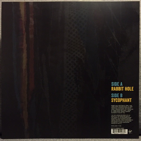 Image of Back Cover of 12" - VG+/VG+ - JAMIE T, Rabbit Hole (Virgin EMI Records; VST2114, UK & Europe 2015, Picture Sleeve, Limited Edition), Clean copy,  - 4116244C