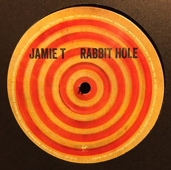 Image of Label Cover of 12" - VG+/VG+ - JAMIE T, Rabbit Hole (Virgin EMI Records; VST2114, UK & Europe 2015, Picture Sleeve, Limited Edition), Clean copy,  - 4116244C