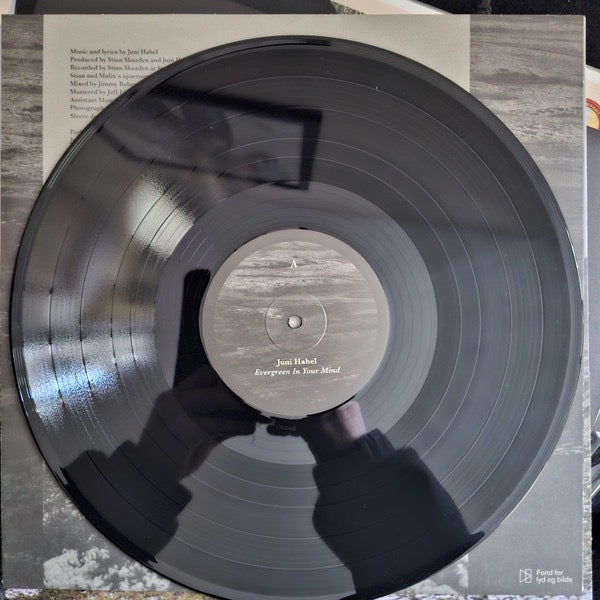 Image of Label Cover of LP - EX/VG+ - JUNI HABEL, Evergreen In Your Mind (Basin Rock; BR025, UK 2026, Inner), Still In Opened Shrinkwrap With Hype Sticker,  - 4116386C