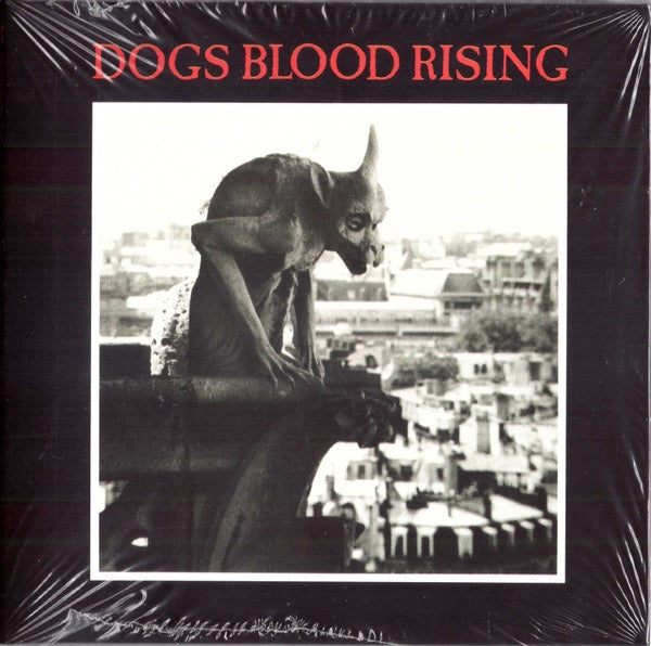 Image of Front Cover of CD - EX/EX - CURRENT 93, Dogs Blood Rising (Cashen's Gap; DOAR XVI CD, 	 2026, Gatefold, Booklet), ,  - 4136247E