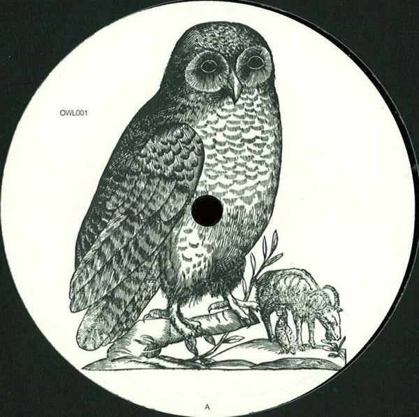 Image of Front Cover of 12" - /VG - UNKNOWN ARTIST, Untitled (Owl; OWL001, Germany 2012, Unofficial Release), ,  - 4216188C