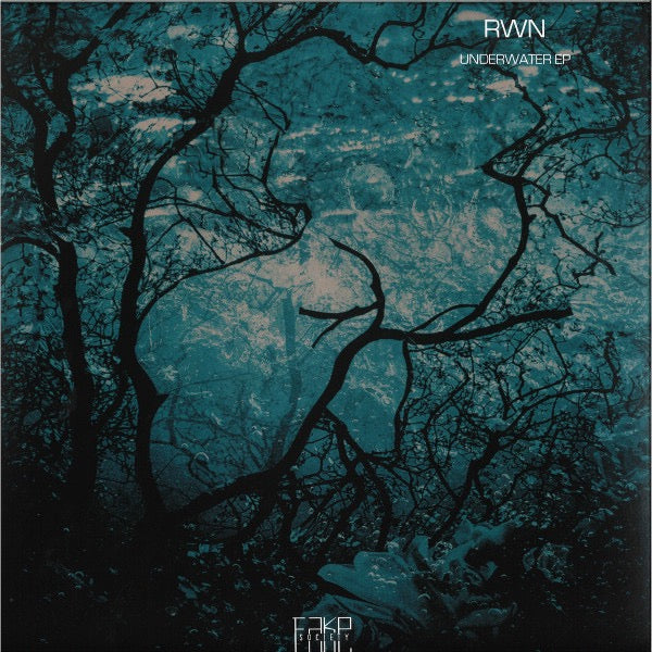 Image of Front Cover of 12" EP - VG/VG - RWN, Underwater EP (Fake Society; FS004, UK 2020, Picture Sleeve), Minor cosmetic wear to sleeve.,  - 4216195C