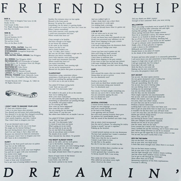Image of Back Cover of LP - VG+/VG+ - FRIENDSHIP, Dreamin' (Orindal Records; ORD-46, US 2019, Outer Plastic Sleeve With Hype Sticker, Brown Sunglasses Coloured Vinyl), ,  - 4226065E