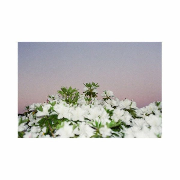 Image of Front Cover of 12" EP - VG+/G+ - R.KITT, Ripples From The Edge EP (Night Tide; NTTD 007, UK 2020, Stickered Plain Sleeve), Faint hairlines.,  - 4216204C