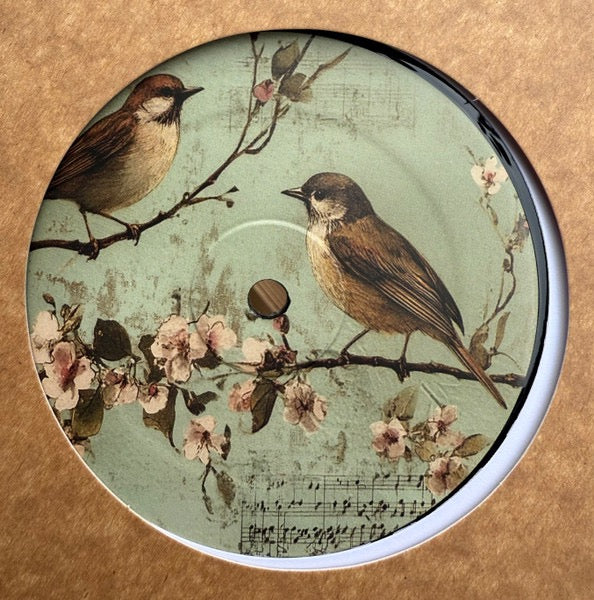 Image of Front Cover of 12" EP - /VG+ - PUTSCH '79, Birdz (The Comfort; CMF007, UK 2025), ,  - 4216349C