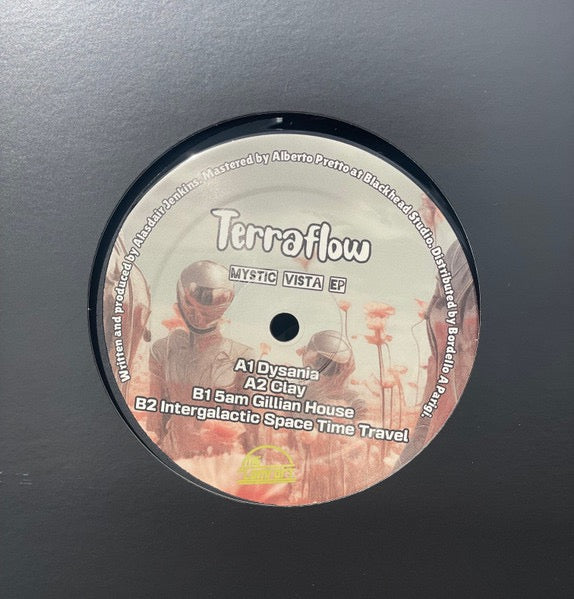 Image of Front Cover of 12" EP - /VG+ - TERRAFLOW, Mystic Vista (The Comfort; CMF004, UK & Ireland 2024), ,  - 4216350C