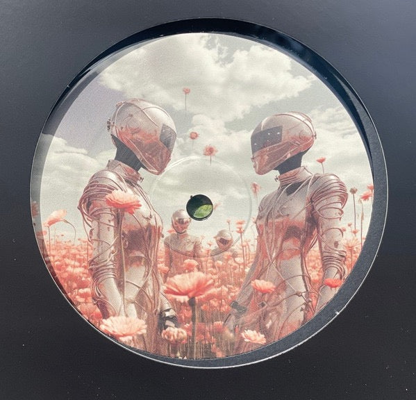 Image of Back Cover of 12" EP - /VG+ - TERRAFLOW, Mystic Vista (The Comfort; CMF004, UK & Ireland 2024), ,  - 4216350C