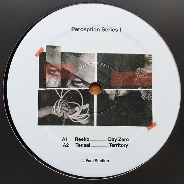 Image of Front Cover of 12" - /VG+ - VARIOUS, Perception Series I (Faut Section; FAUT028, Portugal 2020), ,  - 4246352S