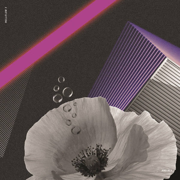 Image of Front Cover of 2x12" - G+/G+ - AND.REA, Perception Of Objective Reality (Melliflow; MFLOW3, Germany 2016), Sleeve has rips from opening on both sides, wear and damage at corners,  - 4216591C