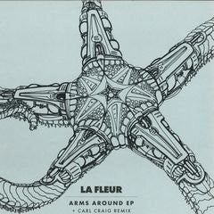 Image of Front Cover of 12" - VG/VG - LA FLEUR, Arms Around Ep (Watergate Records; WGVINYL18, Germany 2014, Picture Sleeve), ,  - 4216592C