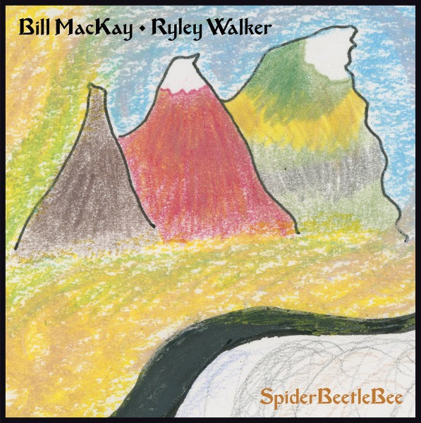 Image of Front Cover of LP - VG+/EX - BILL MACKAY, RYLEY WALKER, SpiderBeetleBee (Drag City ; DC688, US 2017), ,  - 4226287E