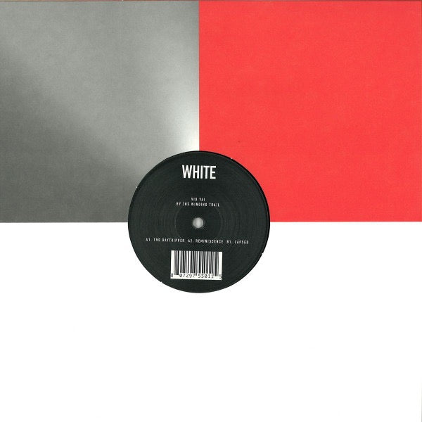 Image of Back Cover of 12" EP - VG/G+ - VID VAI, By The Winding Trail (White; WHITE 023, Germany 2013, Picture Sleeve), Some light marks and sticker damage to sleeve. Light hairlines, marker on label., A1		The DaytripperA2		ReminisceneB1		Lapsed - 4316115C
