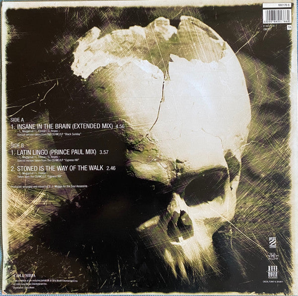 Image of Back Cover of 12" - VG/VG - CYPRESS HILL, Insane In The Brain (Columbia; 660176 6, Europe 1993), Edge Wear,  - 4346049S