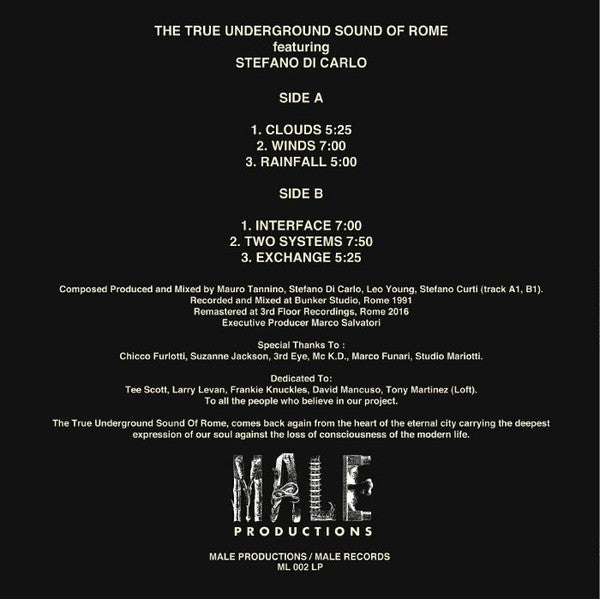 Image of Back Cover of LP - VG/VG - THE TRUE UNDERGROUND SOUND OF ROME FEATURING STEFANO DI CARLO, 1991 - 2016 Clouds (Male Productions; ML 002 LP, Italy 2016), Some notable marks. Split at top edge of sleeve,  - 4316481C