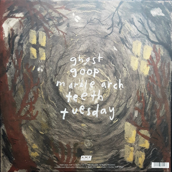 Image of Back Cover of 12" - EX/EX - MARY IN THE JUNKYARD, this old house (AMF Records; AMF121LP, UK 2024, Inner, Brown Eco Vinyl), Signed,  - 4346160S