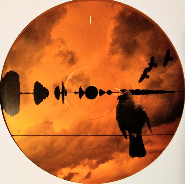 Image of Label Cover of 2xLP - NEW/NEW - KATE BUSH, Aerial (Fish People; FP8LPX, Worldwide , Gatefold, Booklet, 180 Gram Vinyl, With OBI, Goldy Locks vinyl), ,  - 4356075S