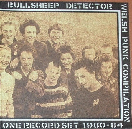 Image of Front Cover of LP - VG+/VG+ - VARIOUS, Bullsheep Detector (Antisociety; ANTI 020, UK 2012, Poster Sleeve, Welsh Punk compilation), A few very light marks,  - 4346238S