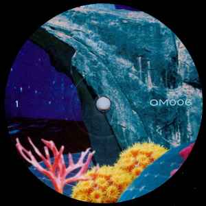 Image of Label Cover of 2xLP - EX/EX - SEAHAWKS, Aquadisco (Ocean Moon; OM006, UK 2012, Picture Sleeve), opened in store,  - 4346380S